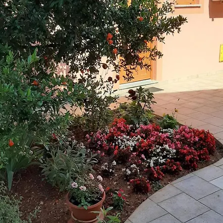 Ancora * ميدولين