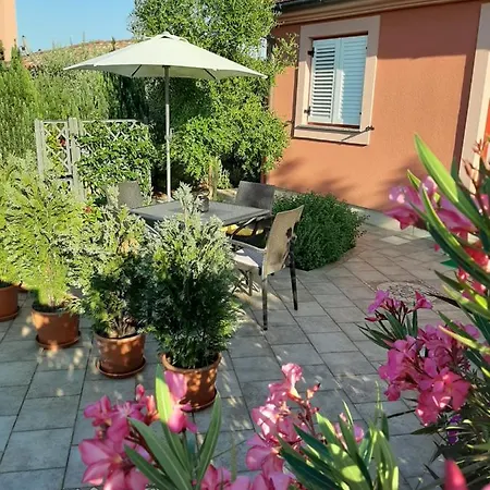 Ancora * Medolino