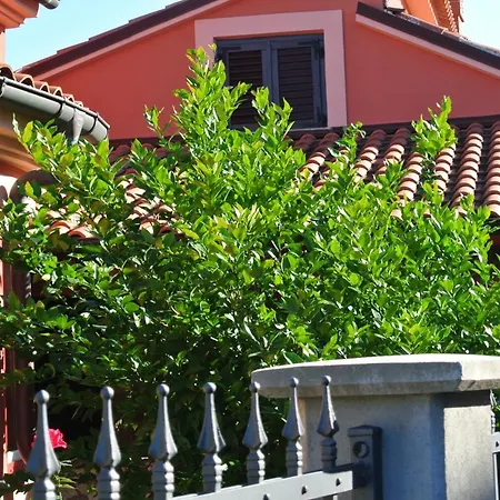 Ancora Medolino