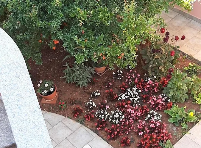 Ancora Appartement *