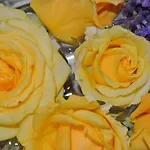 Ancora * 메덜린