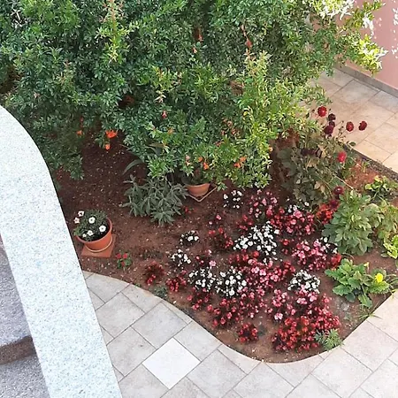 Ancora Apartment *
