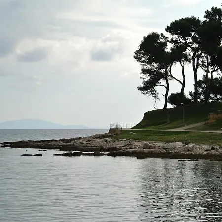 Apartament Ancora *