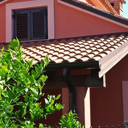 Apartment Ancora